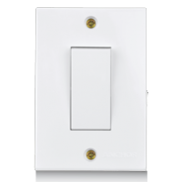 32A DP Power Switches Wbyo Fuse with Neon